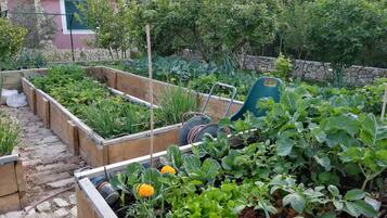 Villa (3 Bedroom Villa with Private Pool) | Garden