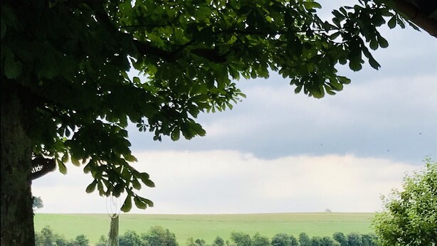 A bench under a tree overlooking a green field and a distant view of a field and sky. - Ferienwohnung Anna (Moosbach)