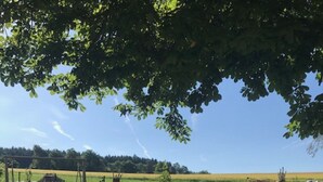 A picnic table with a planter in the center, surrounded by a paved area with a view of a field and a road in the distance. - Ferienwohnung Anna (Moosbach)