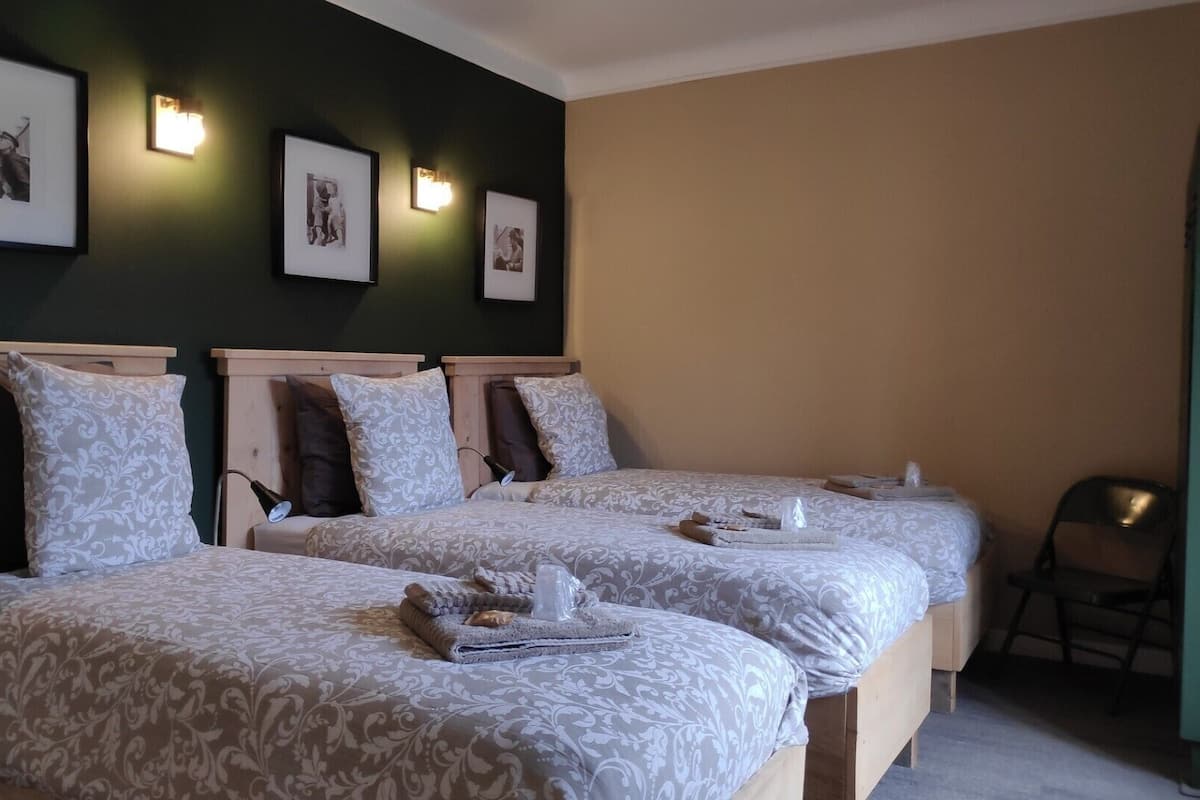 Een hotelkamer met twee bedden, elk voorzien van beddengoed en kussens met een patroon. Boven de bedden hangen er foto’s in lijsten.