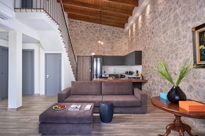 TV, fireplace, DVD player