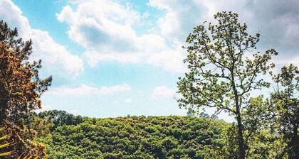 Vos vacances 5* en famille ou entre amis. Havre de Paix au cĆur des CĂ©vennes !