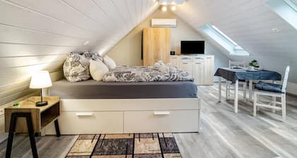 Gemütliche Ferienwohnung "Opitz" am Bodensee mit WLAN, Garten & Pool