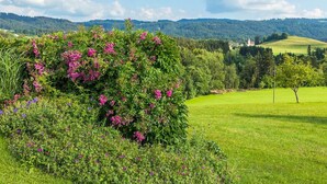 Un campo verde exuberante con una colina al fondo y un edificio en la cima.