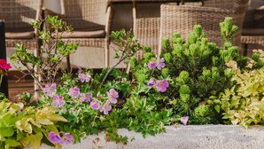 A garden area with various plants and flowers, wicker furniture, and a concrete planter. - Dworek Pani Walewska (Gdansk)