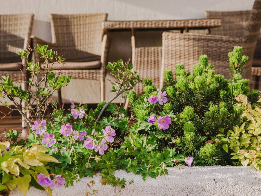 Un jardín con diversas plantas y flores, mobiliario de mimbre y una jardinera de hormigón.
