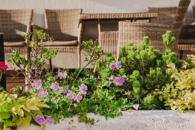 Dworek Pani Walewska