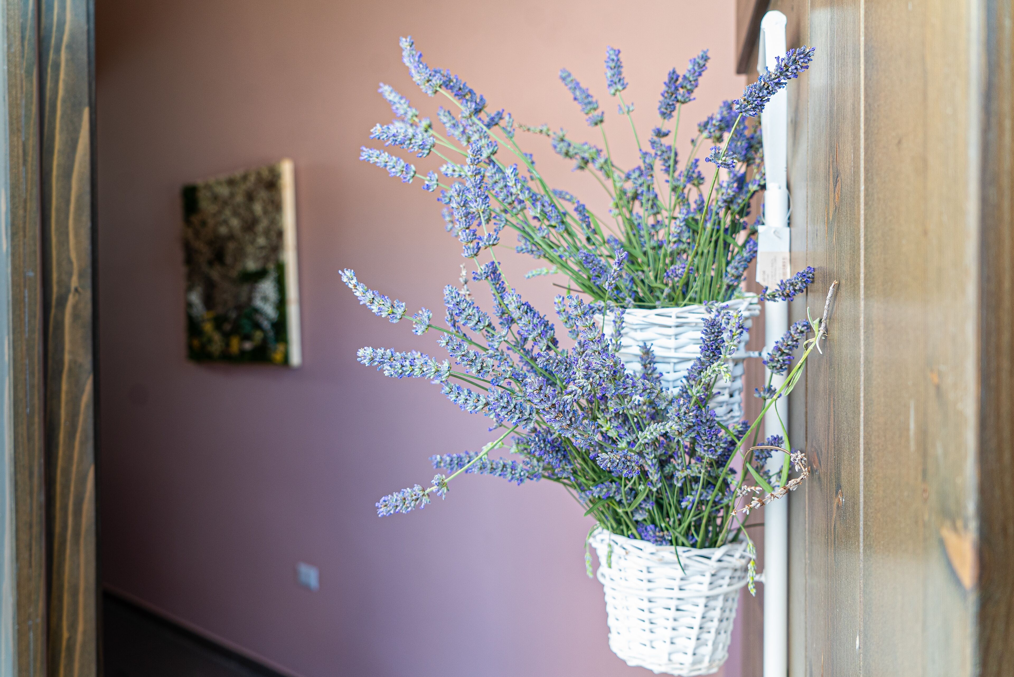 A wicker basket with lavender flowers on a wooden wall.