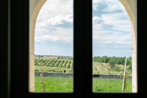 Habitación familiar, terraza | Vistas al jardín