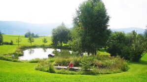 Een weelderig groen landschap met een vijver, bomen en een gazon.