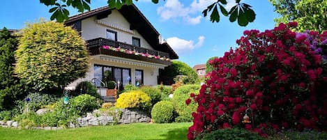 Vista frontal de la propiedad