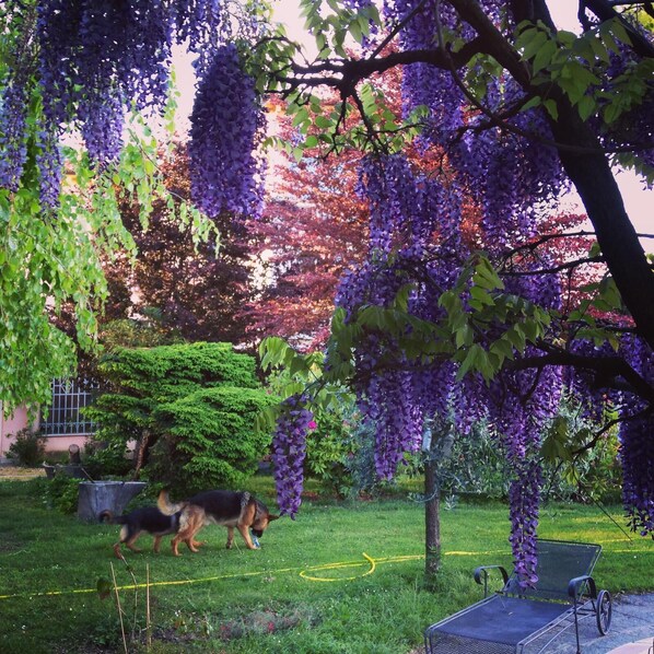 Jardines del alojamiento