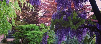 La Sua Africa, Apartment Within a Historic Country Villa Near Ivrea