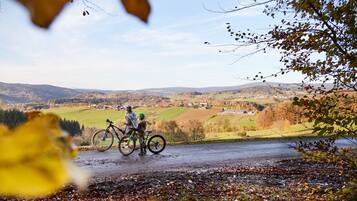 Een landelijk landschap met een weg, een fietser en een fiets.