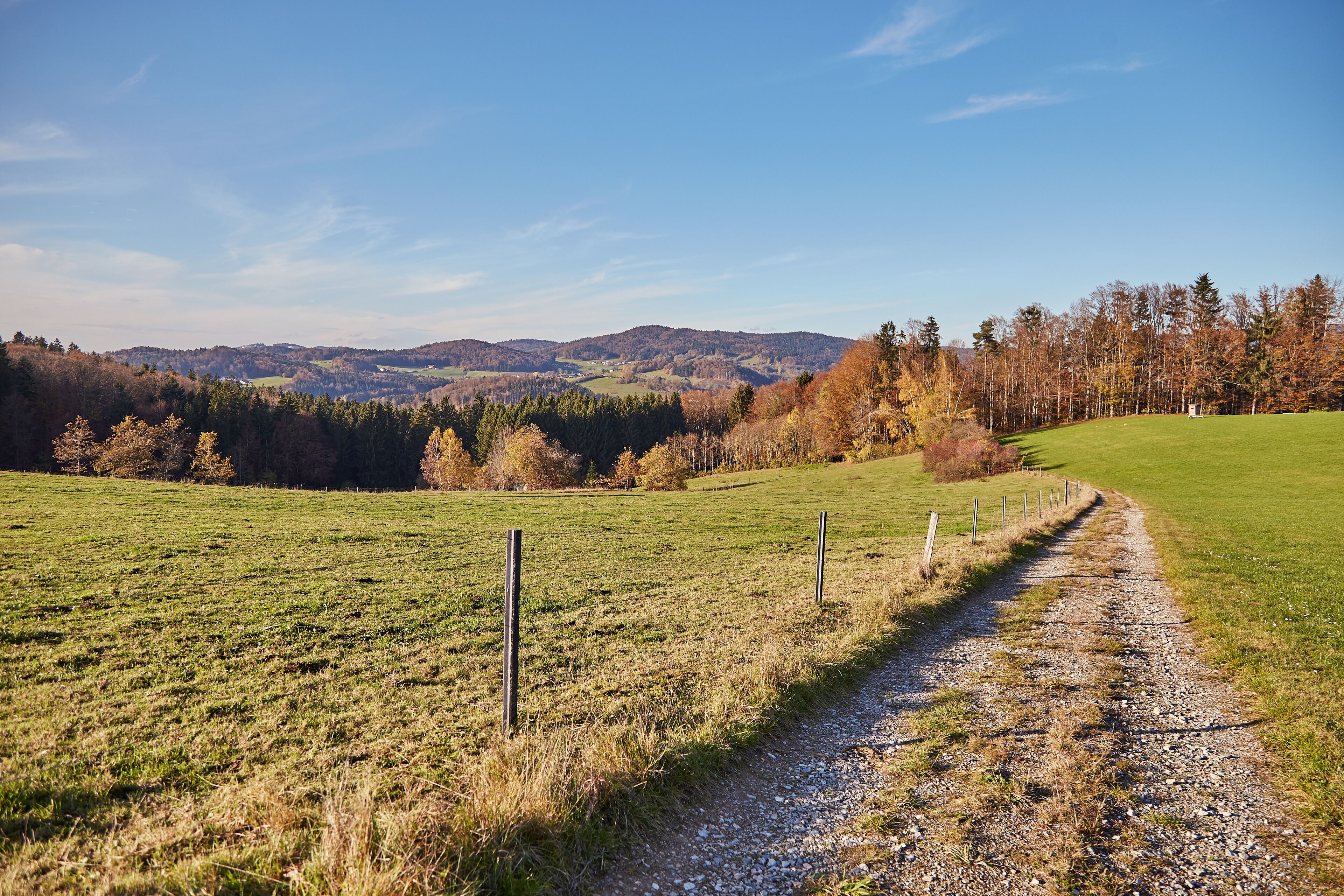 A rural landscape with a gravel path, green fields, and a fence.