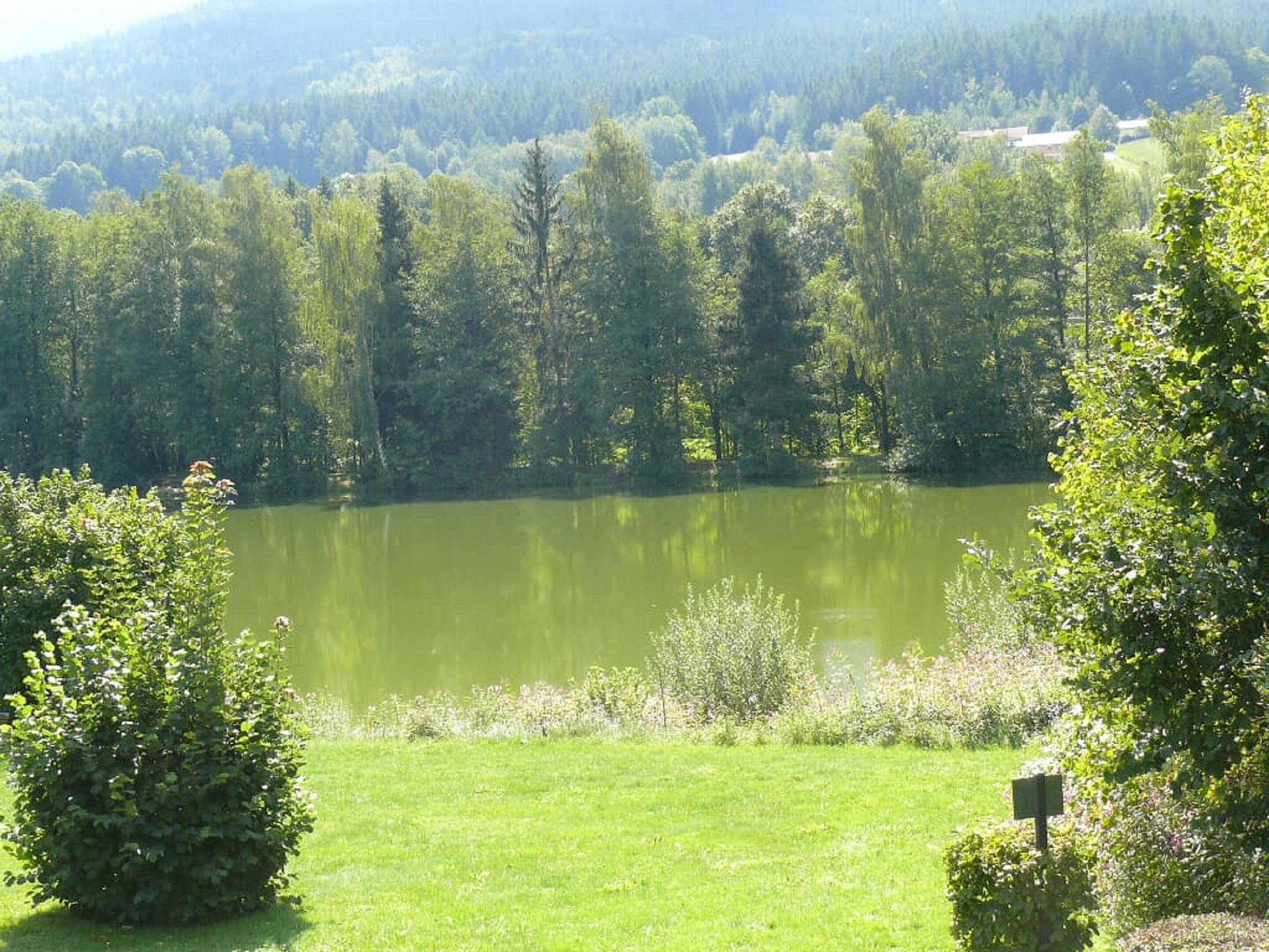Um lago tranquilo rodeado por vegetação exuberante e árvores.