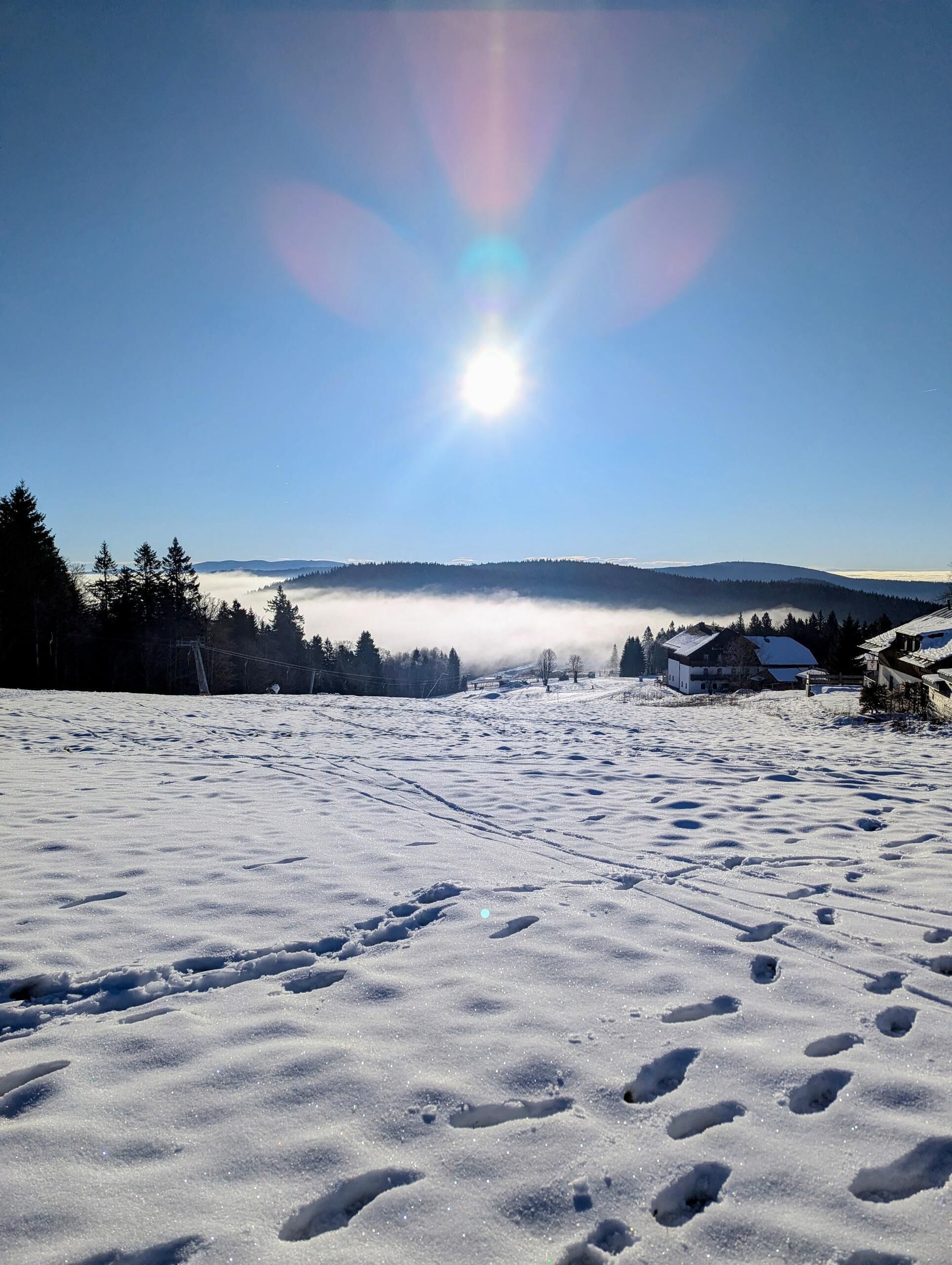A snowy landscape with footprints leading towards a building with a sloped roof.