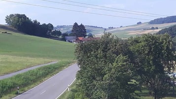 En landsväg med hus längs sidan, omgiven av gröna fält och träd.