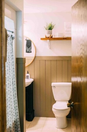 A bathroom with a toilet, sink, and a shelf with a plant. - Heart of Houghton! Trails, Shopping & More! (Dodgeville)