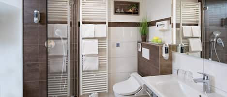 Business Double Room | Bathroom