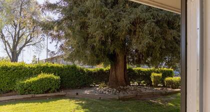 Simple, Cozy 2-bedroom in San Jose