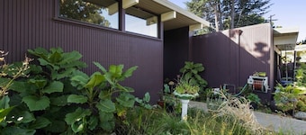 Cute and Cozy Studio in Palo Alto