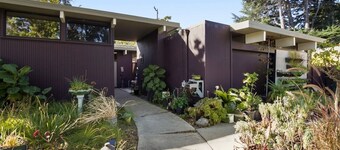 Cute and Cozy Studio in Palo Alto