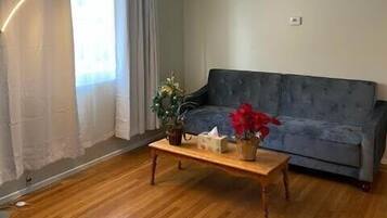 Apartment | Living room | TV