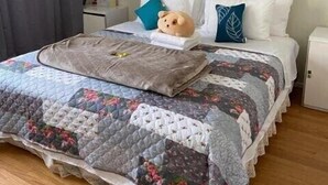 Immagine non classificata, 3 di 8, pulsante