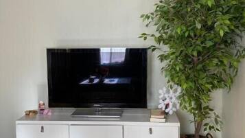 Apartment | 1 bedroom, desk, WiFi