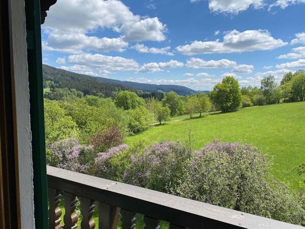 Doppelzimmer (im Nebengebäude) | Balcony view - Zum Kramerwirt (Haibach)