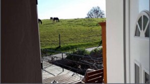 A view from a room with a door open, looking out to a grassy field with horses. - Naturfreundepension Hagenberger für Erwachsene (Witzmannsberg)