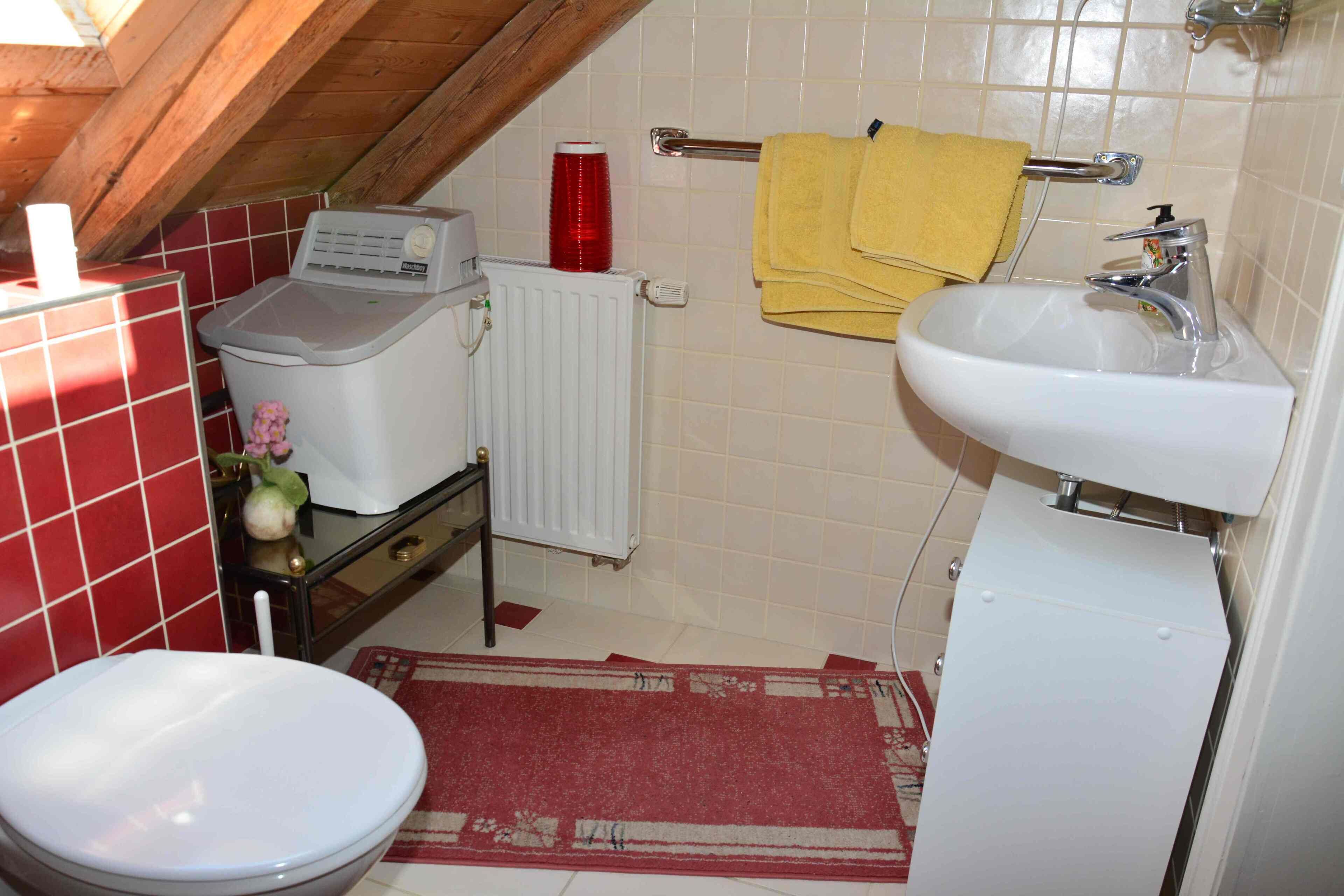 Een kleine, praktische badkamer met een wit toilet, een wastafel en een wasmachine.