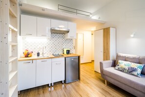 Economy Studio Suite | Iron/ironing board, free WiFi - Solna Atelier (Kraków)
