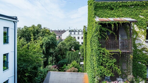 A building with a green ivy-covered exterior, a visible rooftop, and a view of surrounding buildings and trees. - Aparthotel Cracovia Residence (Kraków)