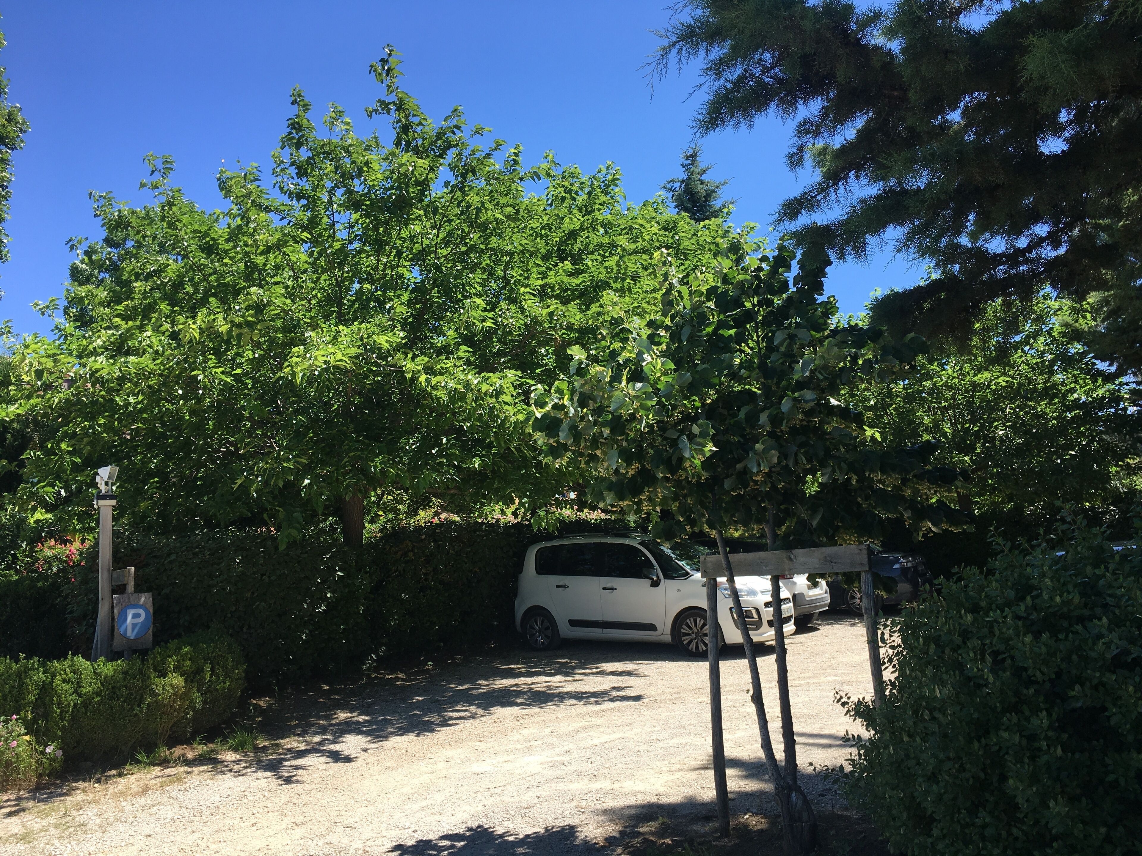 A gravel parking area with a white car parked under a tree.