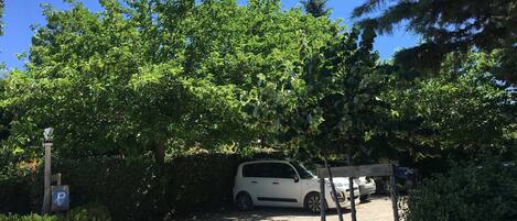 A gravel parking area with a white car parked under a tree.
