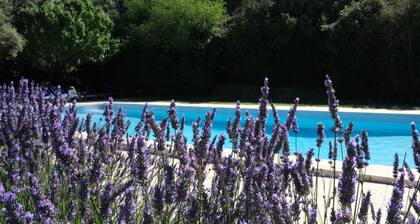 Beautiful manor with swimming pool and orchard facing the Provençal Colorado