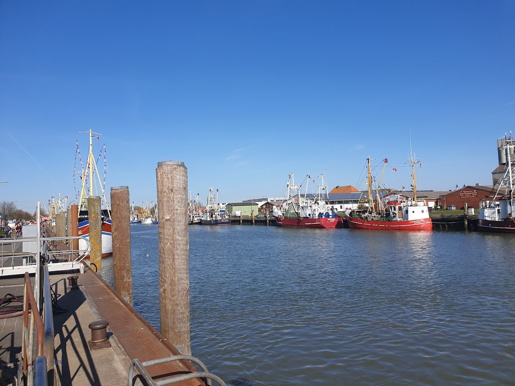 A marina with several boats docked, wooden pilings, and a clear blue sky.