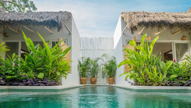 A pool area with a thatched-roof structure, potted plants, and a white wall in the background.