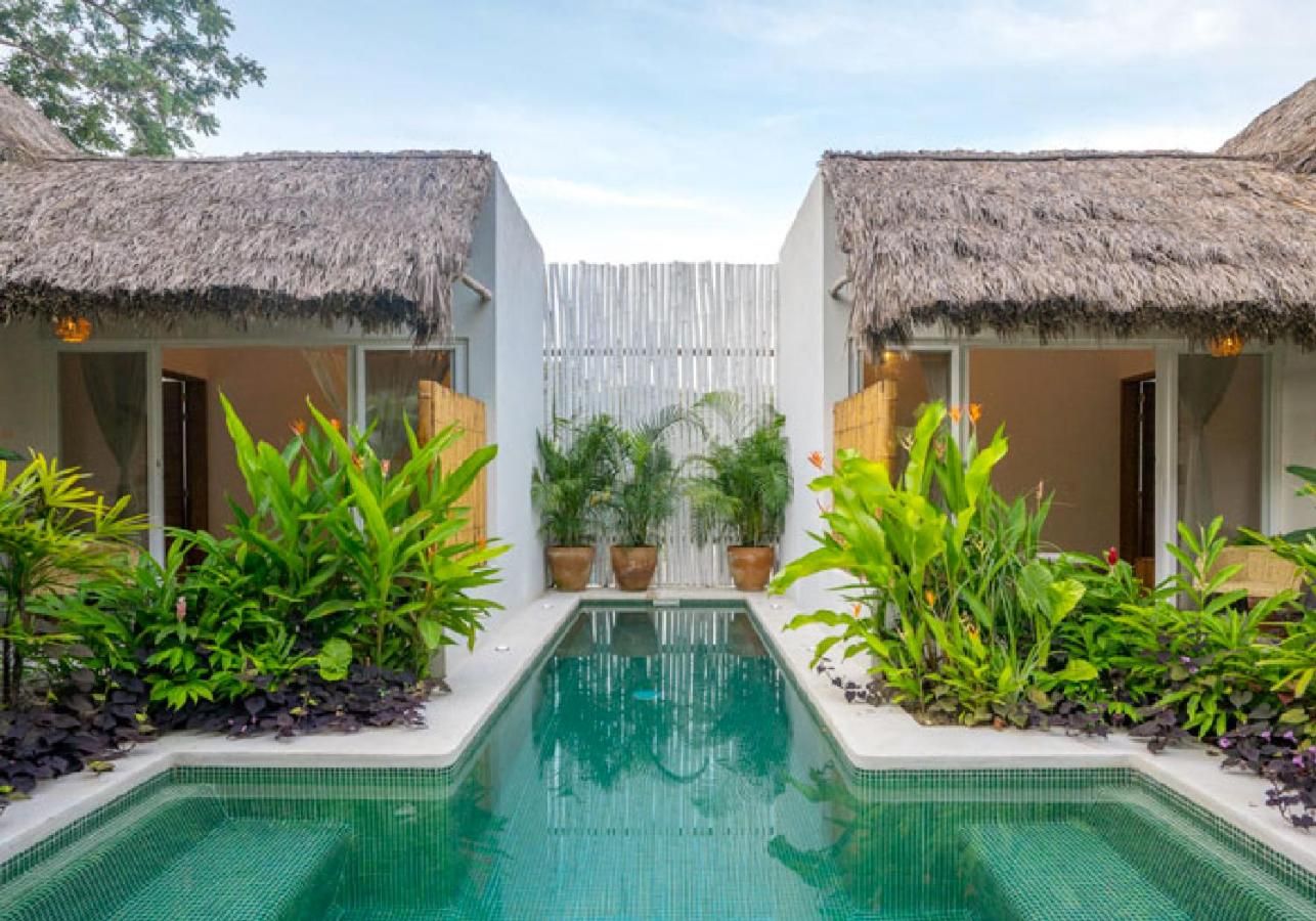 A swimming pool with two thatched-roof structures on either side, surrounded by lush greenery.
