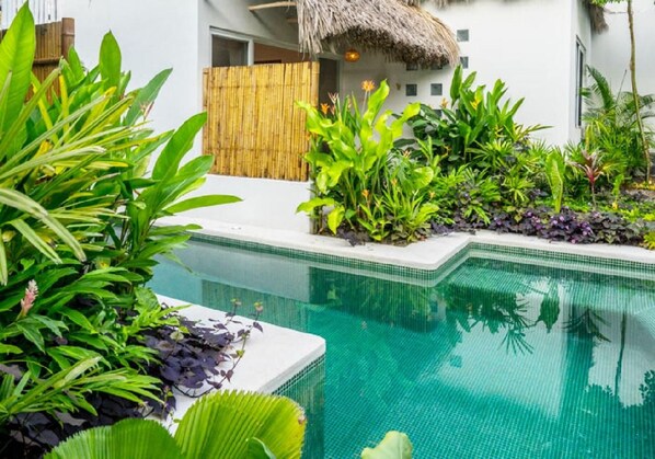 A swimming pool surrounded by lush tropical plants and a thatched roof structure. - Marii Hotel Boutique (San Francisco)