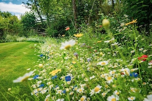 Um jardim com diversas flores e um gramado bem cuidado.