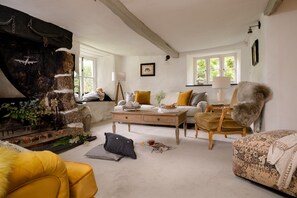 Télévision, cheminée, jeux vidéo, Netflix