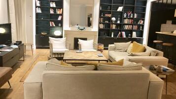 Télévision, cheminée, livres, chaîne hi-fi