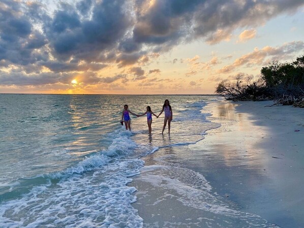 بالقرب من الشاطئ