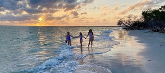 Peace of Paradise: Fresh updates! Guest favorite!