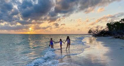 Peace of Paradise: Fresh updates! Guest favorite!