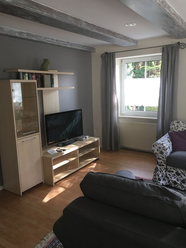 TV