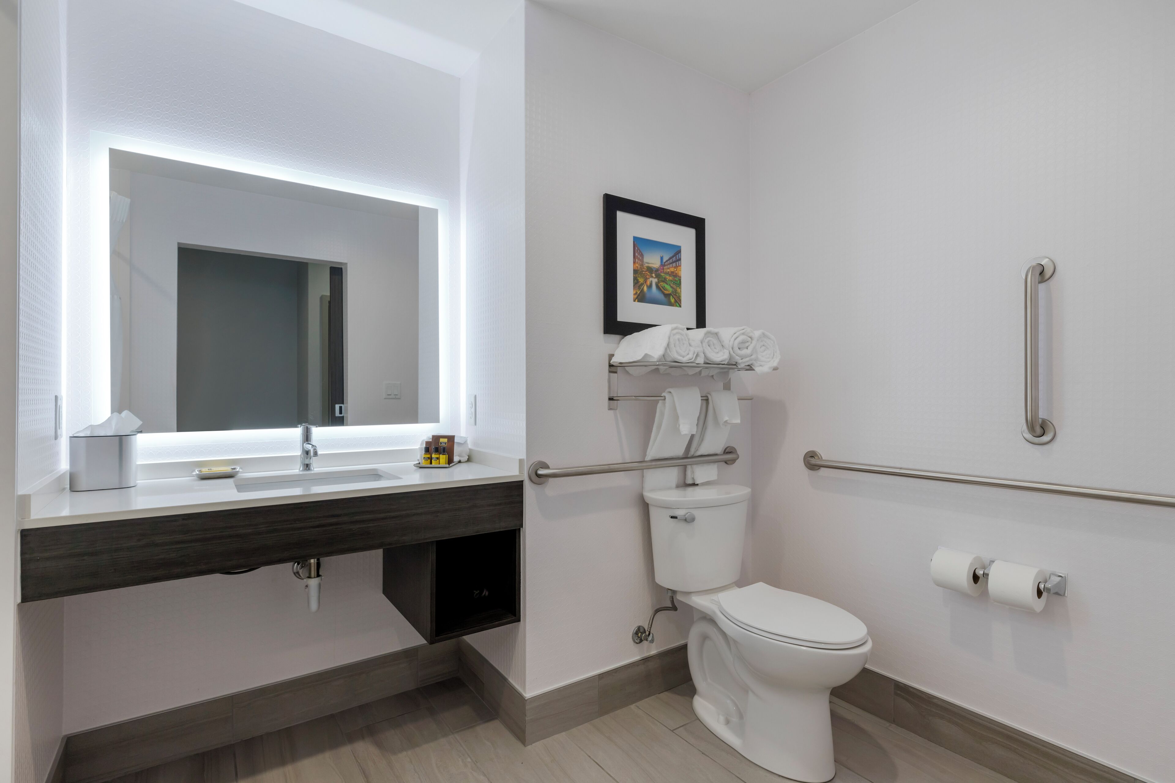 standard room, 1 king bed, accessible, refrigerator & microwave | bathroom | combined shower/bathtub, free toiletries, hair dryer, towels